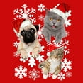 thumbnail image 2 of Boy's Lost Gods Christmas Cat and Dog Snowflake Adventure Graphic Tee Red X Large, 2 of 4