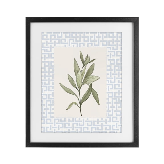 Stupell Industries Transitional Leafy Fresh Herb Black Framed Print Under Glass, 13 x 16, by Diannart