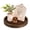 Brown, variant on Hanobe Decorative Candle Holder Plate Trays Coffee Table Decor, Round Wooden Serving Tray Centerpiece for Table 11.8” (Brown)