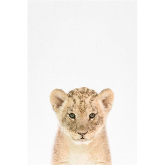 Giant Art 84x54 Baby Lion Fine Art Giant Canvas Print in Multi-Color
