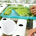 thumbnail image 5 of 400 Pcs Hydroponic Sponge Planting Tool Square Seedling Sponges Greenhouse for Small Bud Growth, 5 of 5