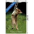 thumbnail image 3 of Célèbre chaton accroché là-bas Poster, 3 of 5
