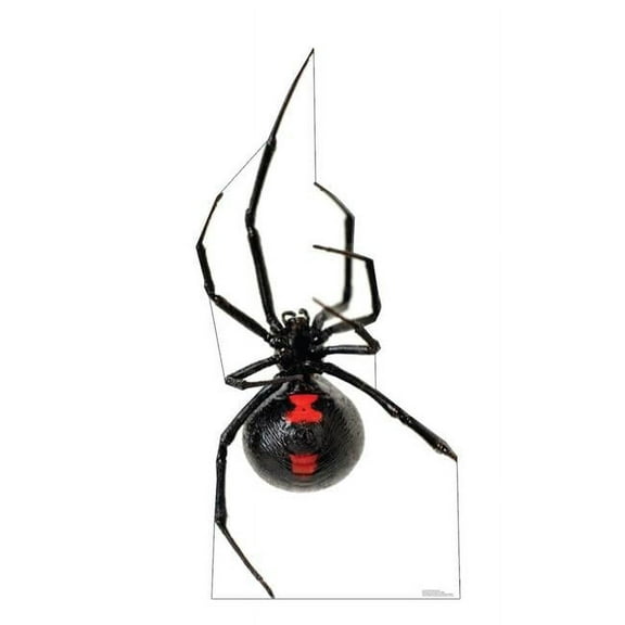 65 x 31 in. Giant Black Widow Spider Life-Size Cardboard Cutout