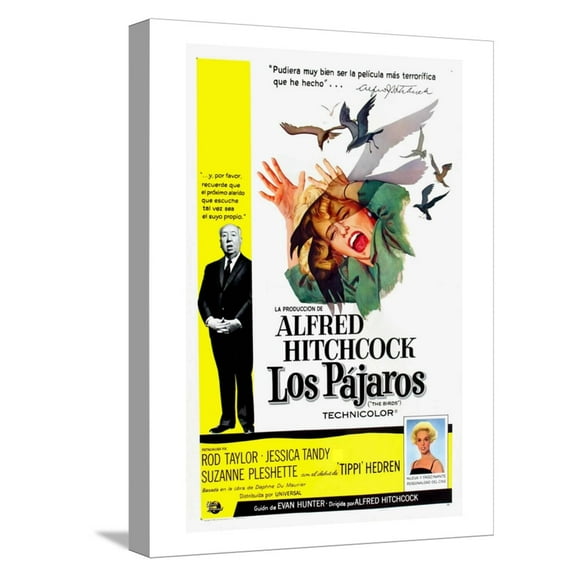 Art.com The Birds, (aka Los Pajaros), Alfred Hitchcock, Tippi Hedren, 1963 Stretched Canvas Print Wall Art, 12" x 16"
