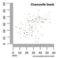 thumbnail image 3 of Ferry-Morse 100MG Chamomile Perennial Herb Seeds, Full Sun, 3 of 11