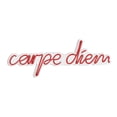 thumbnail image 5 of Carpe Diem Neon Light, Glow Your Space with Red Carpe Diem Led Sign, Carpe Diem Neon for Wall Decor Game Room Bedroom Light Home Party Man Cave, 5 of 5