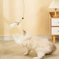 thumbnail image 4 of Feather Wand Wand Replacement Teasing Wand Plushy， Cute Drone Design Soft Feather Tips，Enhances Owner Bonding, 4 of 6