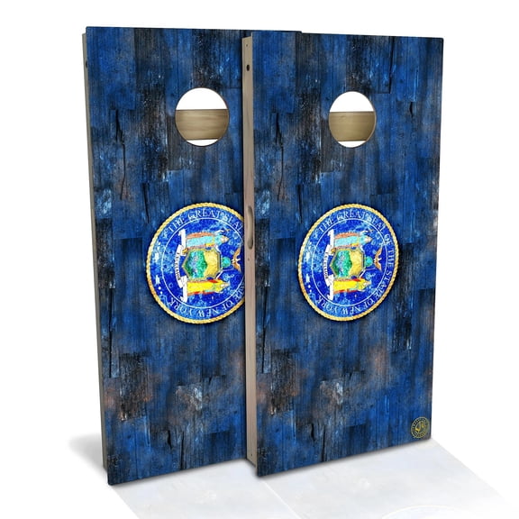 Skip's Garage | New York Flag Color Cornhole Board Set | Includes Boards & Bags | Choose Your Size & Accessories