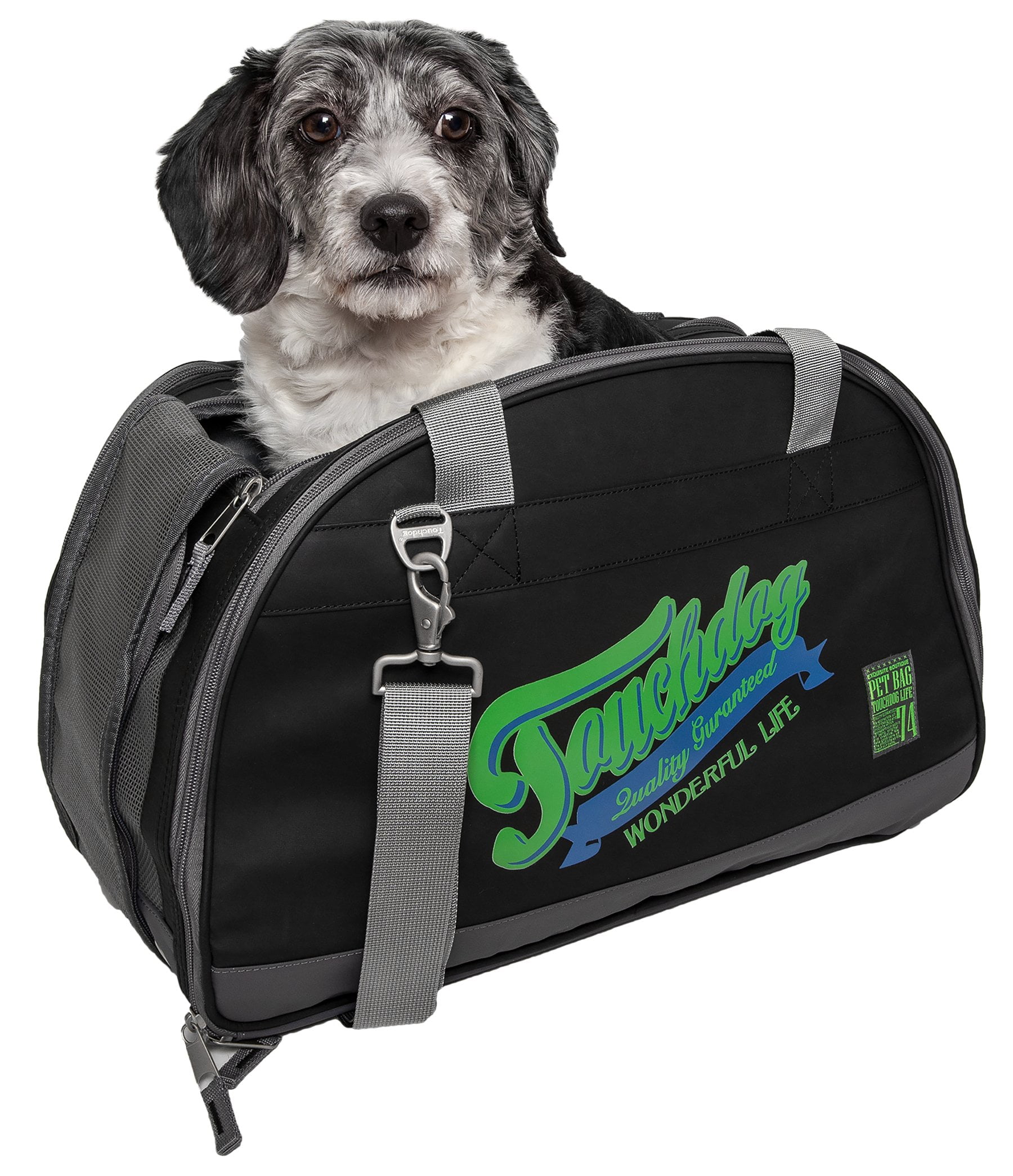 fashion pet travel gear