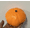 Orange, variant on Halloween Pumpkin Squishy, Squishies Stress Balls, Elastic Stretch Fidget Sensory, Slow Rising Squishy for Festive Fun and Seasonal Decor, 5 Inch