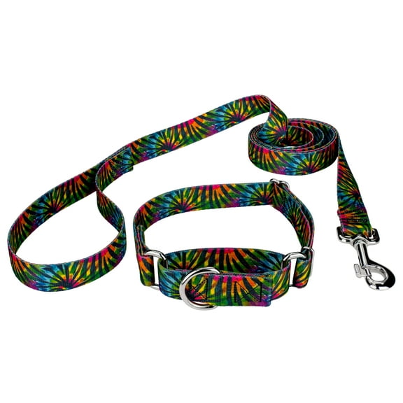 Country Brook Petz® Tie Dye Stripes Martingale Dog Collar and Leash, 2XS