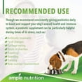 thumbnail image 5 of Ample Nutrition Complete Dog Prebiotic + Probiotic for Dogs, 60ct Chewable Cheesy Bacon Tablets, 5 of 7