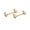 Gold IP, variant on Pair of Nipple Barbells with Forward Facing Pineapple Nipple Barbells