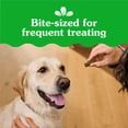 thumbnail image 6 of Greenies Anytime Bites Dog Treats, Blueberry Flavor, 24 oz bag, 6 of 10
