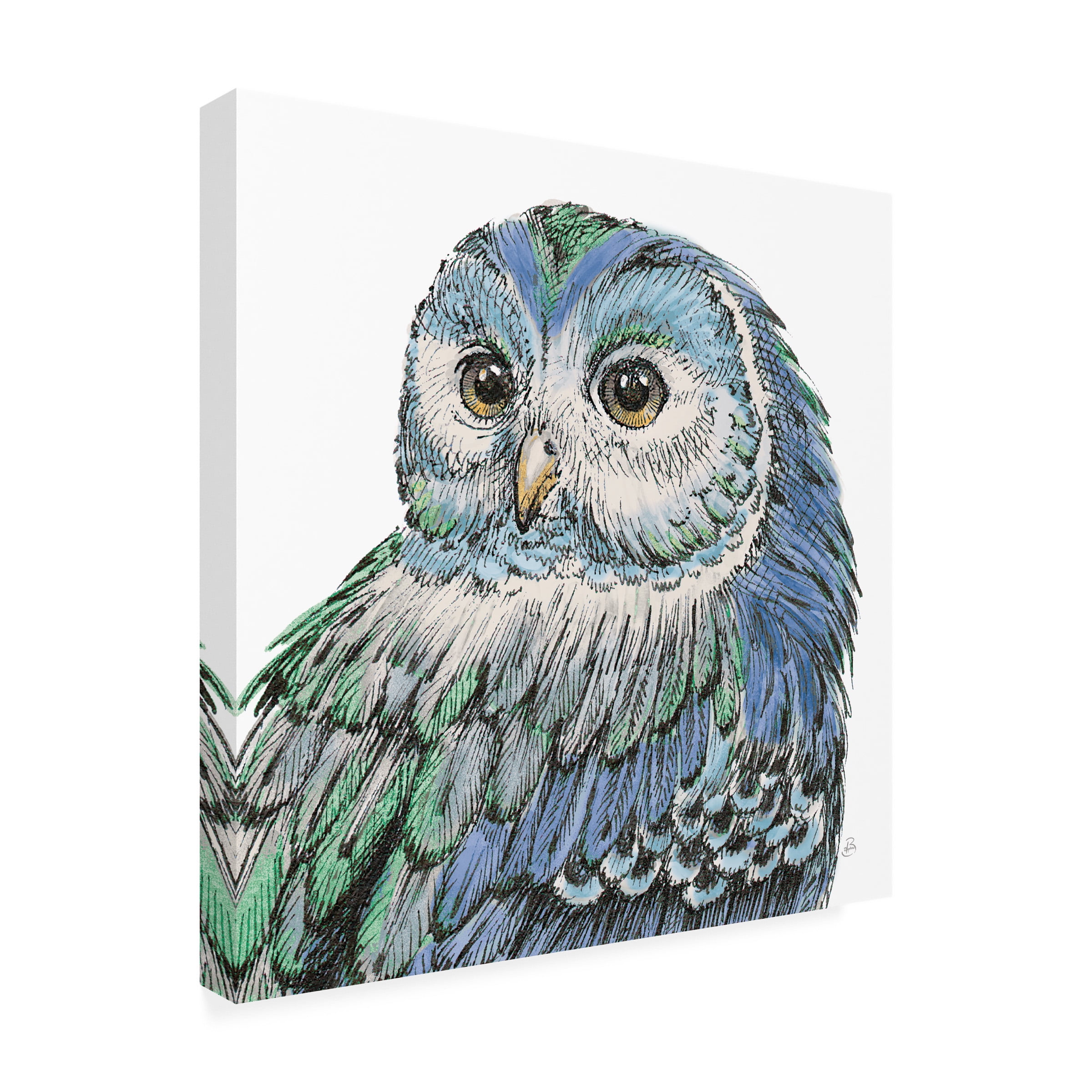 Trademark Fine Art 'Beautiful Owls I Peacock Crop' Canvas Art by Daphne Brissonnet