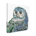 thumbnail image 4 of Trademark Fine Art 'Beautiful Owls I Peacock Crop' Canvas Art by Daphne Brissonnet, 4 of 4