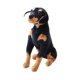 thumbnail image 4 of Juguete de simulación de perro, adornos realistas de pie, linda estatua decorativa de perro de peluche 30cmx23cm, 4 of 9