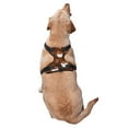 thumbnail image 3 of Gaeub Sloths Need More Coffee Gaeub Sloths Need More Coffee No Pull Dog Harness, Secure and Adjustable Pet Vest for Outdoor Activities - Small, 3 of 8
