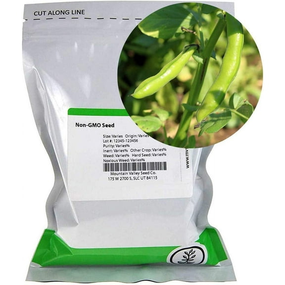 Broad Windsor Fava Bean Seeds - 1 Lb 280 Seeds - Non-GMO, Heirloom - Vegetable Garden Seeds - Vicia faba 16 oz