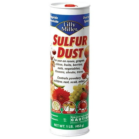 Lilly Miller Sulfur Dust Fungicide and Pesticide for Fruits, Grapes, Roses, Shrubs and Trees; 1 (Best Fungicide For Roses)