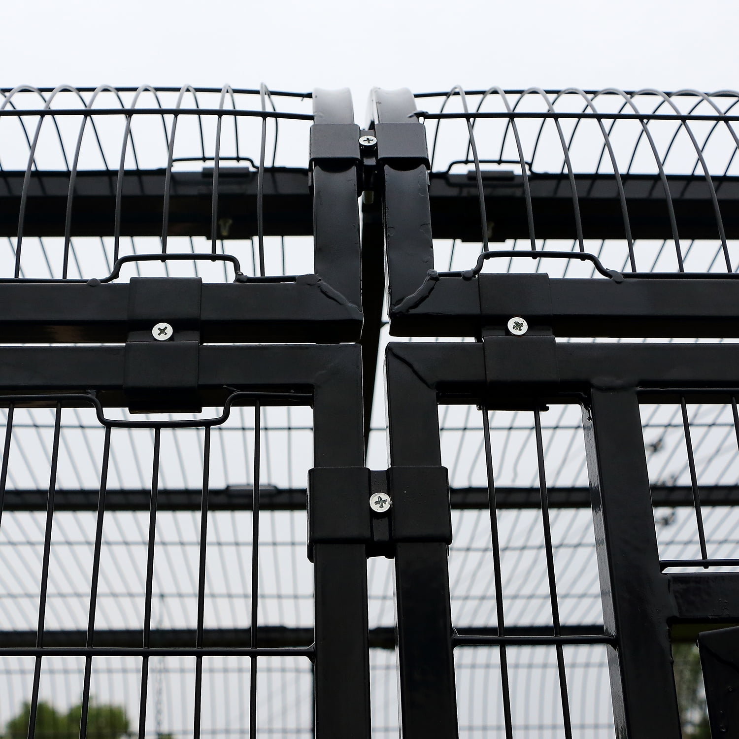 Gallery image with a fresh perspective