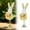 A, variant on 1Pc Standing Bunny Figurine with Spring Flowers, Cute Easter Rabbit Statue, Plastic Decor for Indoor Outdoor Courtyard Porch Table, 22x8x6.5cm, C Clearance
