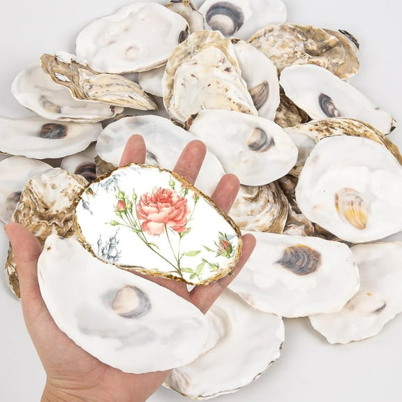 Sinkoo 20Pcs Flat Oyster Shells for Crafts 4"-5" Large Natural Oyster Shells Bulk, for Home Vase Filler, Xmas Ornaments, DIY Arts and Crafts Sea Shells
