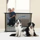 thumbnail image 1 of Fiudx Red de Aislamiento para Perros, Puerta para Mascotas de Fácil Instalación, Material Mejorado, Fibras Elásticas Duraderas, Ambiente Doméstico Seguro, Amplia Aplicación, Escaleras, Puertas y Pasi, 1 of 3