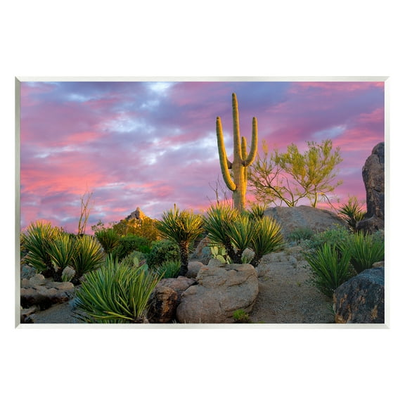 Stupell Industries Pink Sunrise Arid Cactus Plants Landscape Photography Unframed Art Print Wall Art