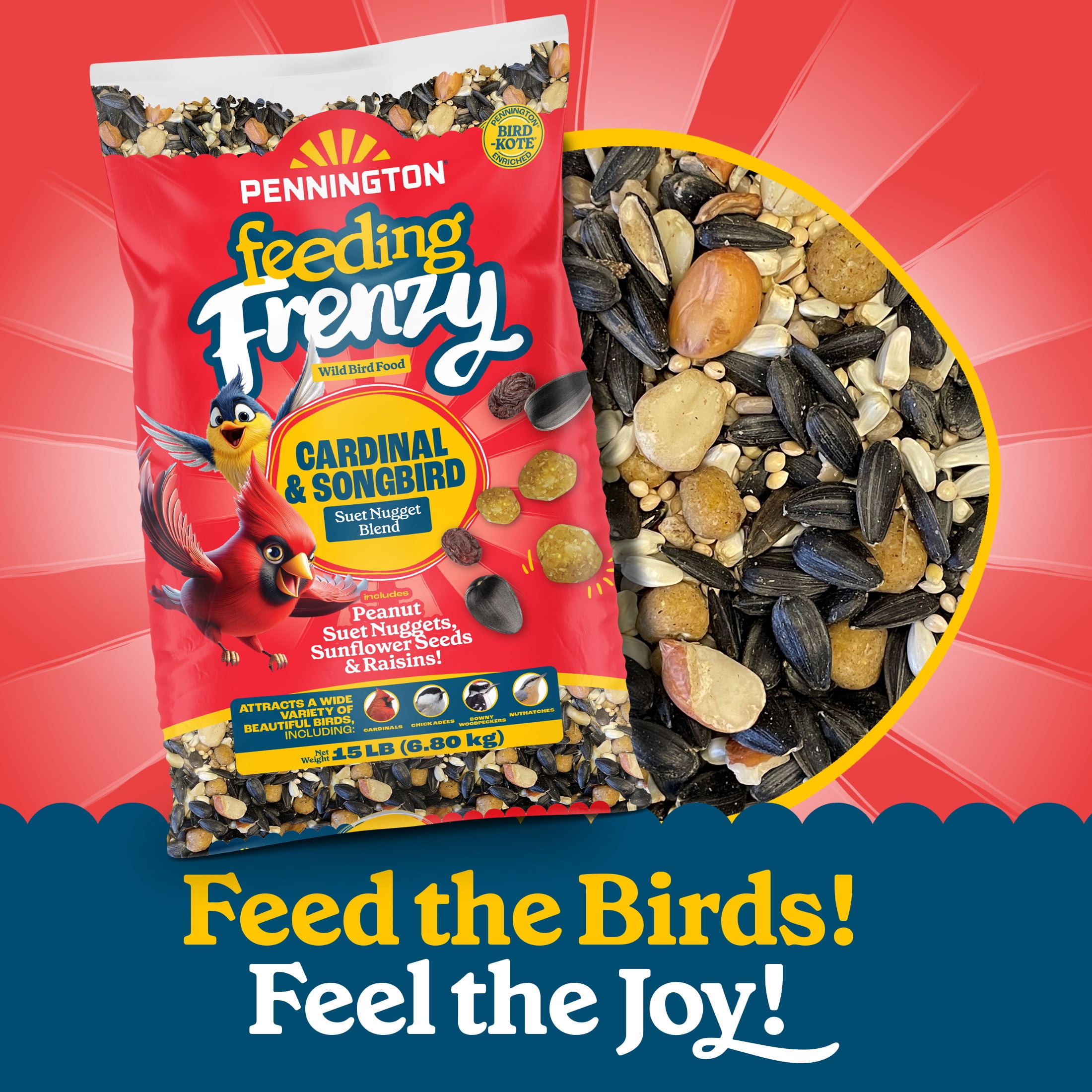 Pennington Feeding Frenzy Cardinal and Songbird, Wild Bird Food Blend, 15 lb