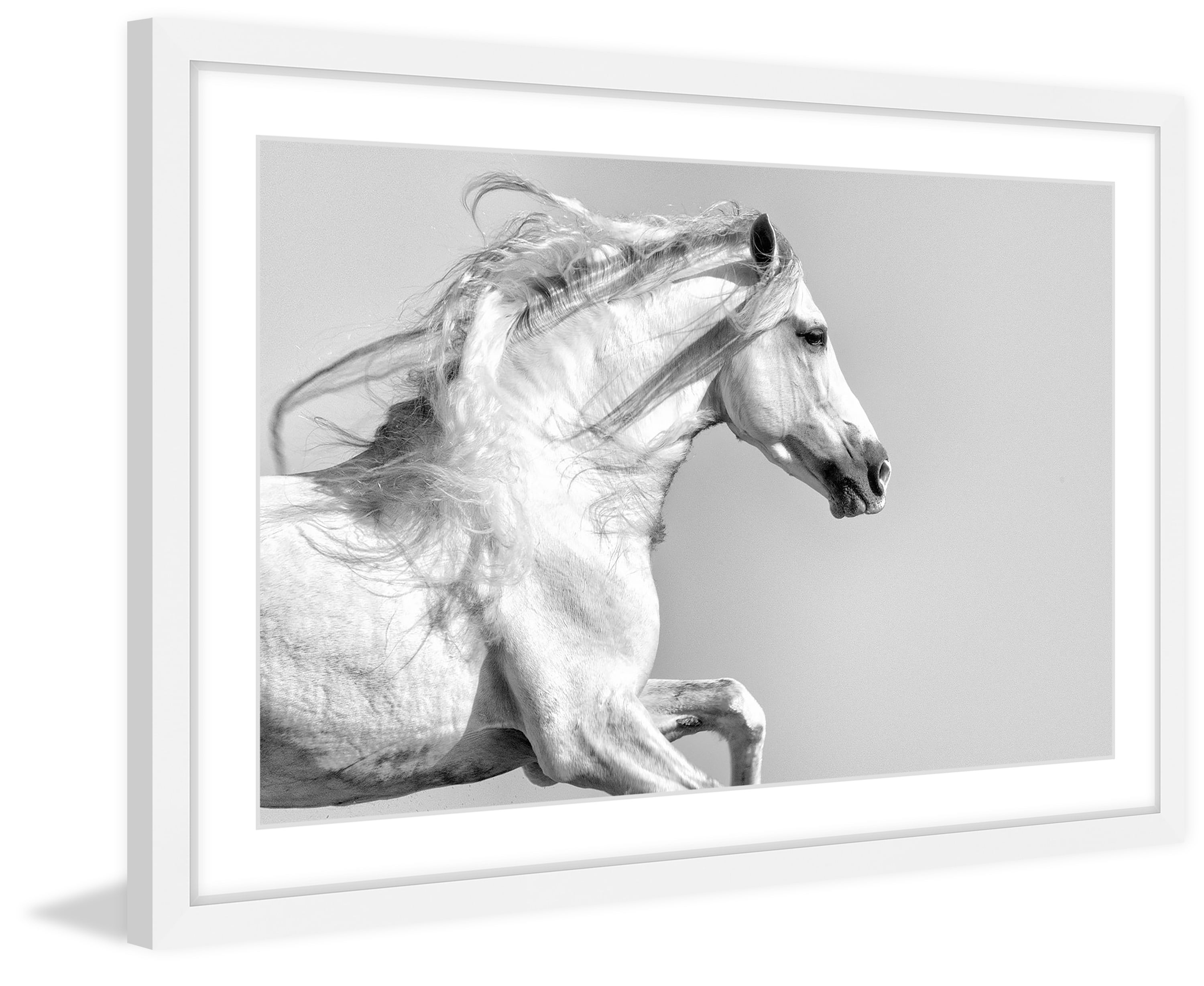 "White Mane" Framed Painting Print