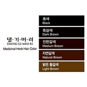 Daeng Gi Meo Ri – Korean Herbal Hair Dye Color Cream [Black]