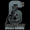 thumbnail image 2 of Boy's Marvel Black Panther Action Pose 6th Birthday  Graphic T-Shirt, 2 of 5