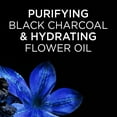 thumbnail image 4 of Garnier Whole Blends Black Charcoal and Nigella Flower Oil Conditioner, 12 fl oz, 4 of 7