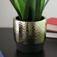 thumbnail image 3 of 17" Artificial Agave Succulent in a Golden Pot, 3 of 4