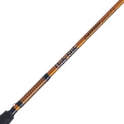 Ugly Stik Catfish Special Spinning Rod, 10' Medium Heavy Fishing Rod, 2 Piece
