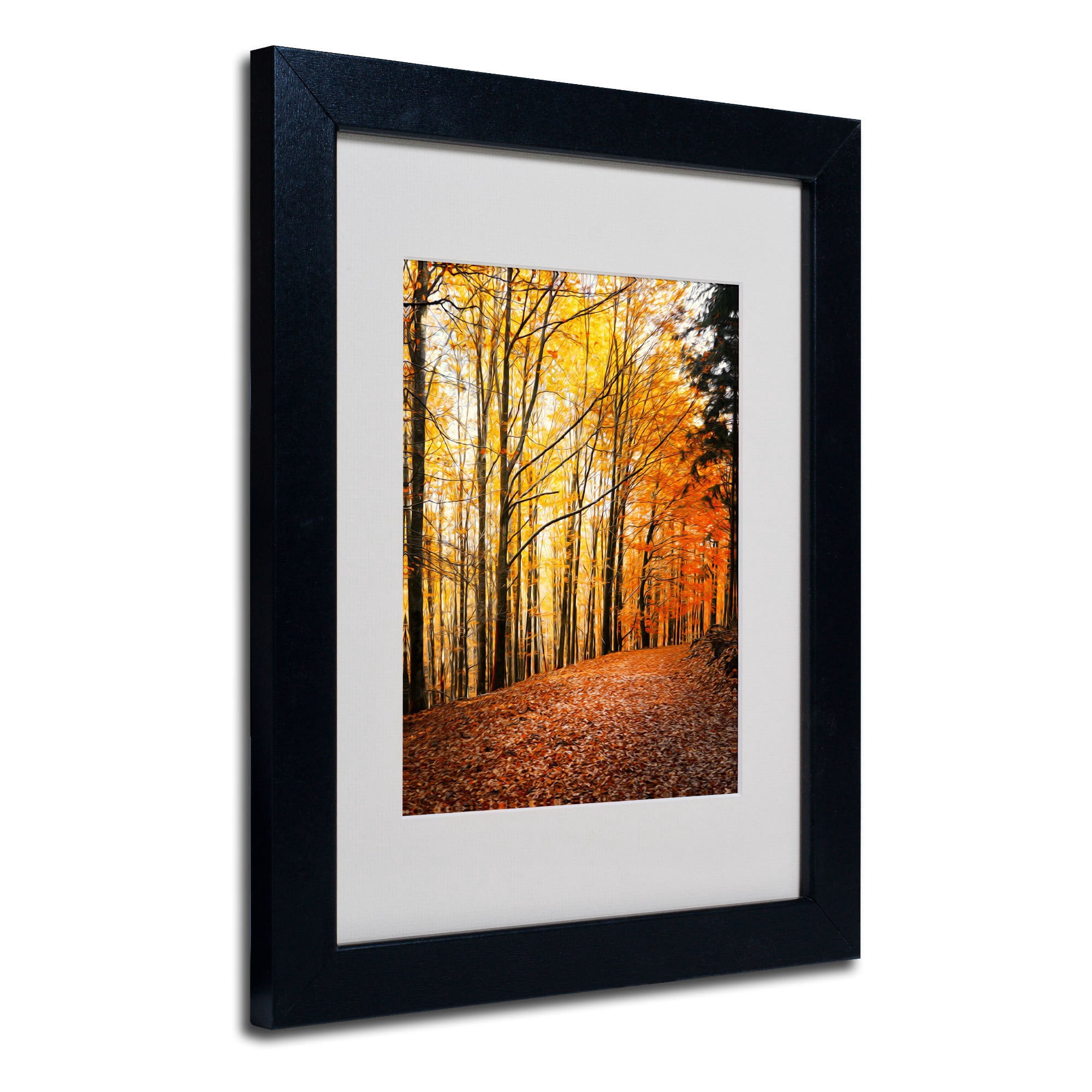 Trademark Fine Art "Yellow Moment" Canvas Art by Philippe Sainte-Laudy, Black Frame