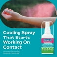 thumbnail image 4 of Benadryl Itch Relief Spray, Extra Strength, 2 fl. oz. (Pack of 6), 4 of 13