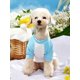 thumbnail image 5 of PETSIN Letter Graphic Pet Tee, 5 of 5
