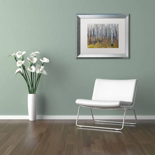 Trademark Fine Art 'Aspen Trees in Autumn' Canvas Art by Pierre Leclerc, White Matte, Silver Frame