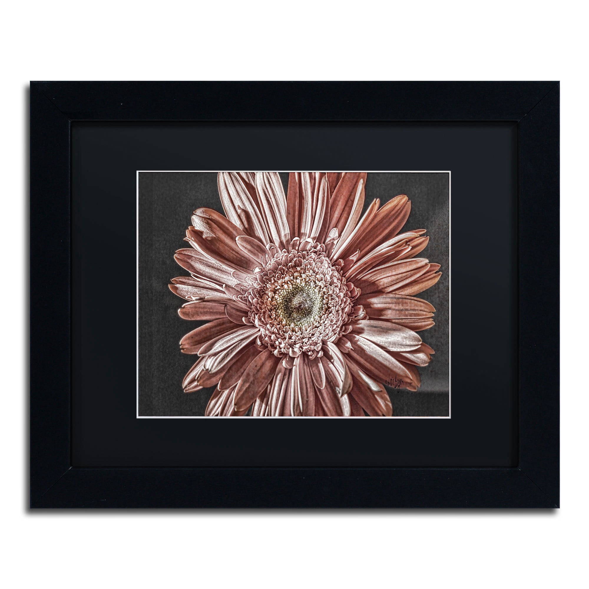 Trademark Fine Art "Silvery Pink" Canvas Art by Lois Bryan, Black Matte, Black Frame