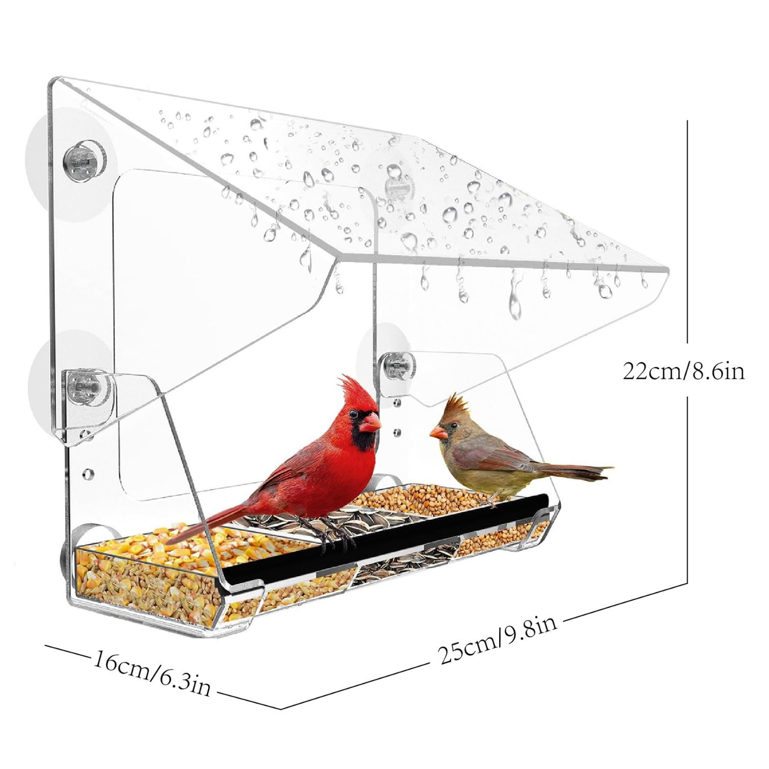 Window Bird Feeder with Strong Suction Cups – Acrylic Birdfeeder for Outdoor Wild Bird Viewing, Mounts on Window, Wall, or Bird Pole