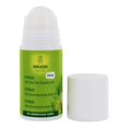 thumbnail image 3 of Weleda - 24 Hour Roll On Deodorant Citrus - 1.7 fl. oz., 3 of 5