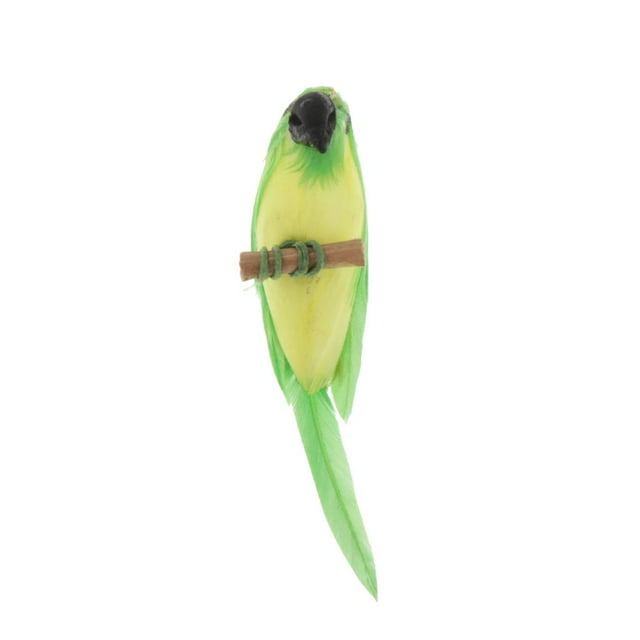 Mini de animales de pájaro de plumas hechas de simulación para accesorios de decoración de 1/12 Verde Baoblaze Loro miniatura de casa de muñecas