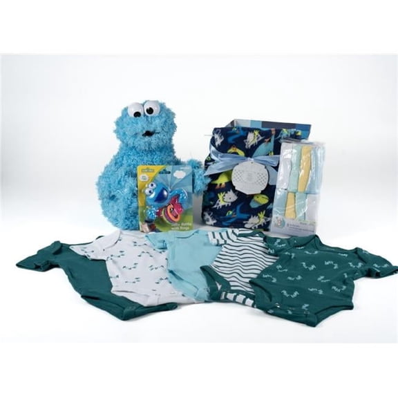 Ohio Basket Chic 143192PMM603 Baby Boy Gift Basket - Delight & Expectant Parents with A Thoughtful