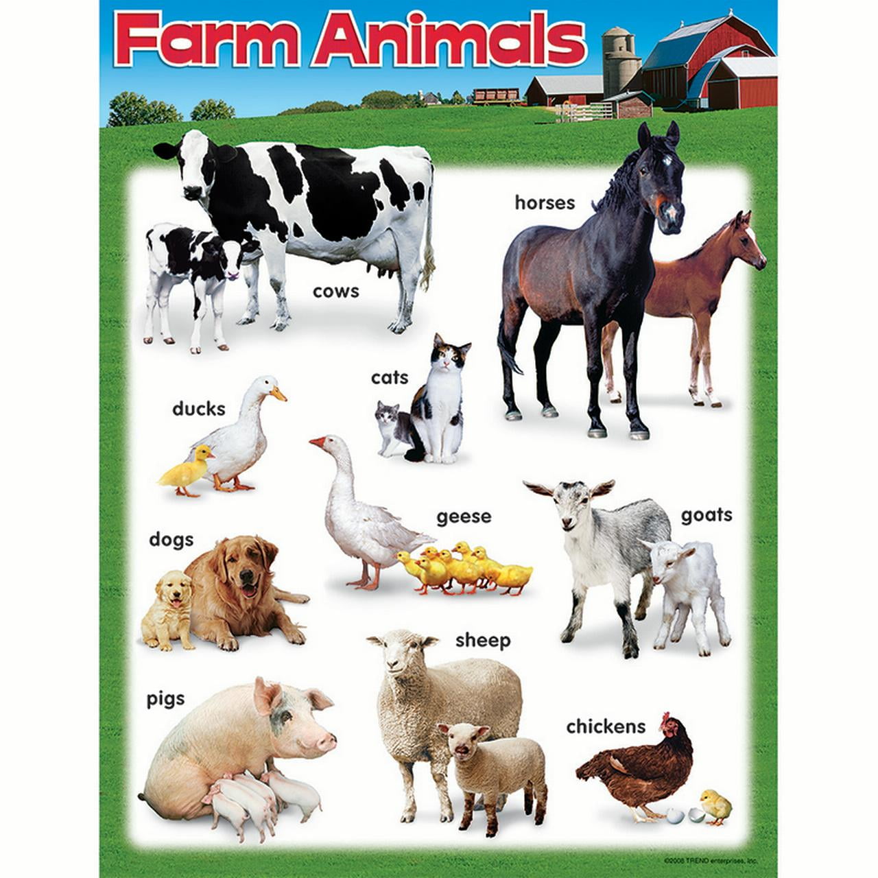 LEARNING CHART FARM ANIMALS - Walmart.com