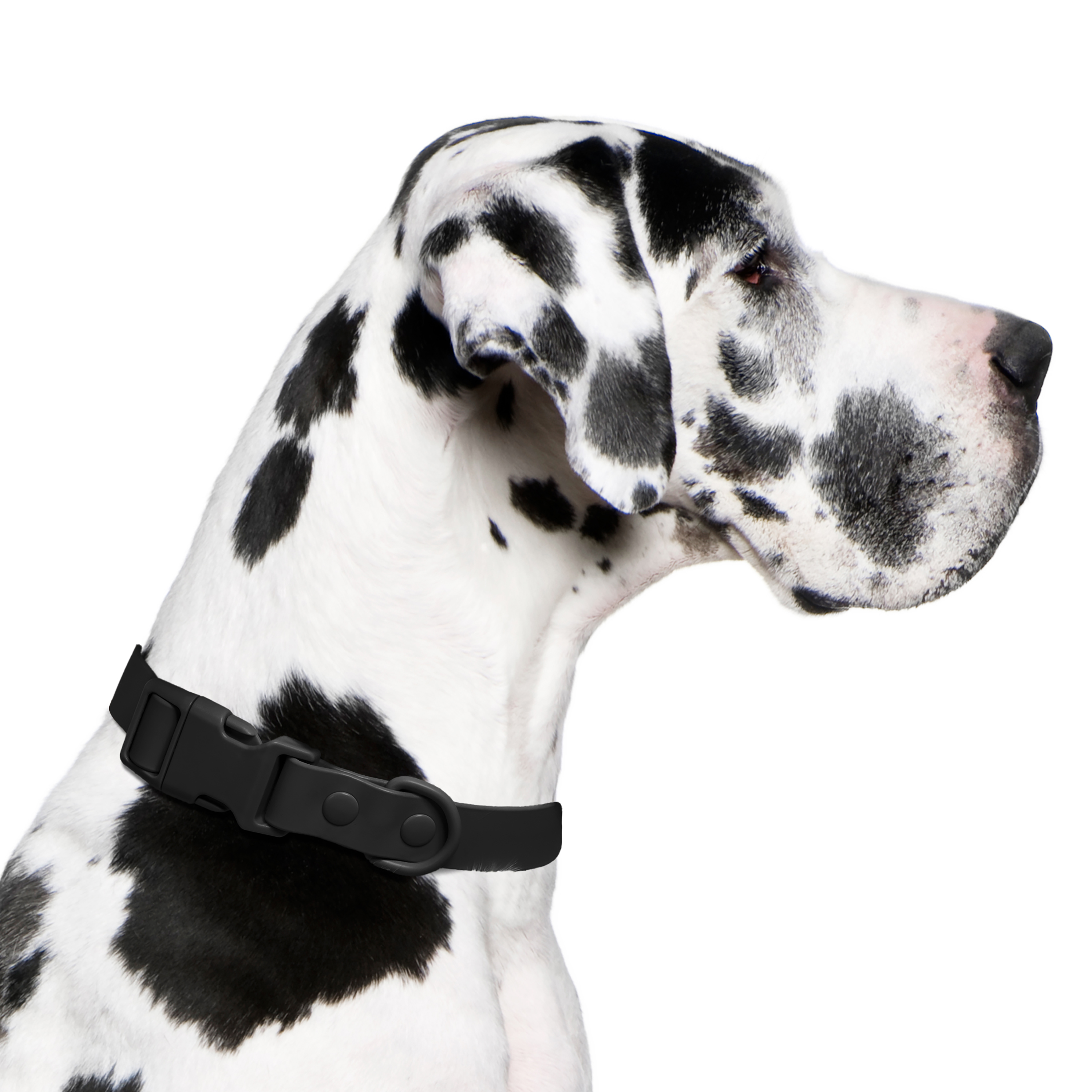 Vibrant Life Water Resistant Adjustable Dog Collar, Black, XL