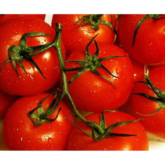 Posterazzi DPI1803947 Tomatoes Poster Print by David Chapman, 16 x 13