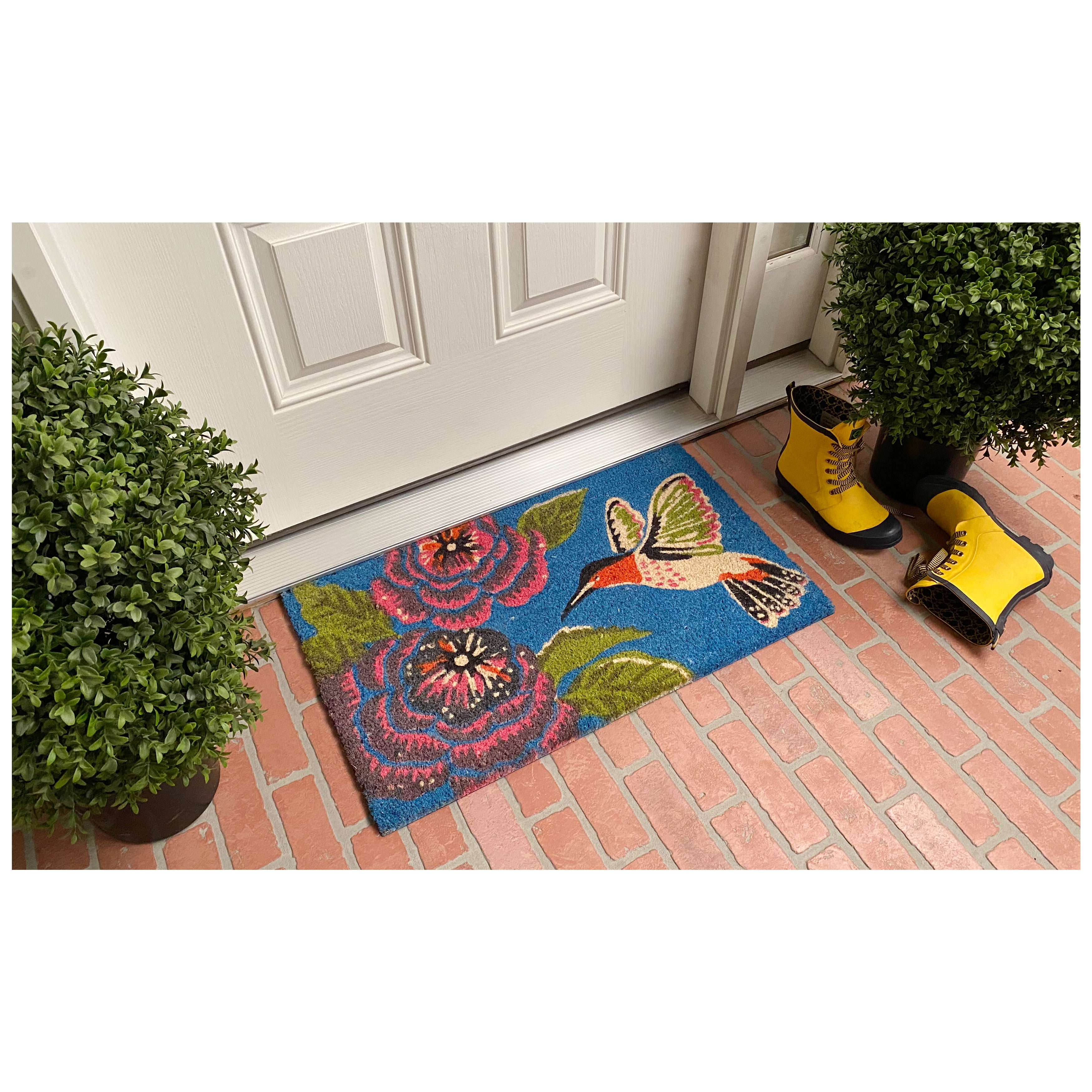 Calloway Mills Hummingbird Delight Outdoor Doormat 24" x 36"