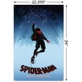 thumbnail image 3 of Marvel Spider-Man - Into The Spider-Verse - Falling Wall Poster with Push Pins, 22.375" x 34", 3 of 6